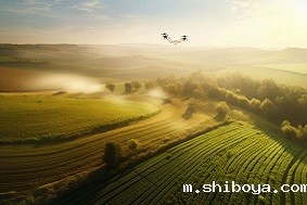 三旺通信为丹麦智慧农业插上数字化“翅膀”