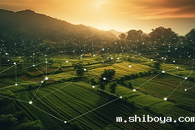 高标准农田管理模式——现代农业发展的关键