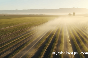 自动虫情测报灯厂家选择指南