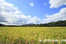 固定式孢子捕捉仪特点介绍