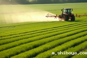 数字农场的意义是什么