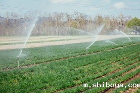 水肥一体化系统特点介绍