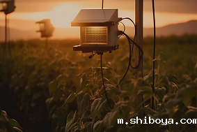 太阳能虫情测报灯应用领域