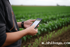 农田苗情监测系统厂家怎么选
