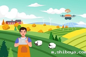 现代农业产业园建设会有哪些困难