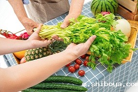 农产品质量追溯系统介绍