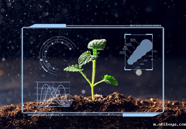 智能孢子捕捉仪介绍