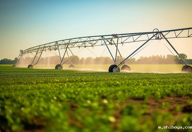 智慧农业助力新乡高质量发展