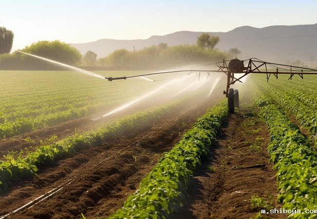 水肥一体化系统优势介绍