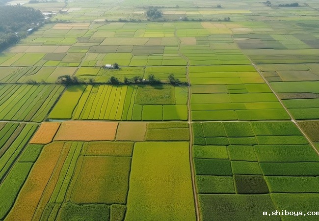 高标准农田会用到哪些系统