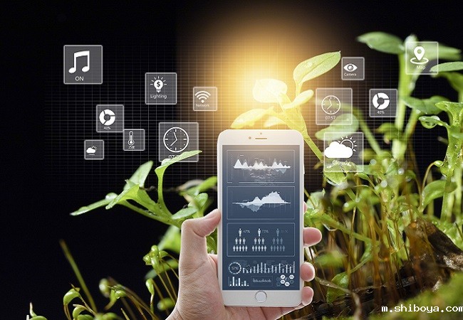 病虫害监测预警系统有哪些特点